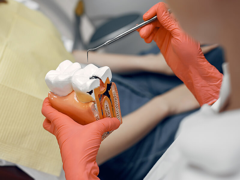 endodontia
